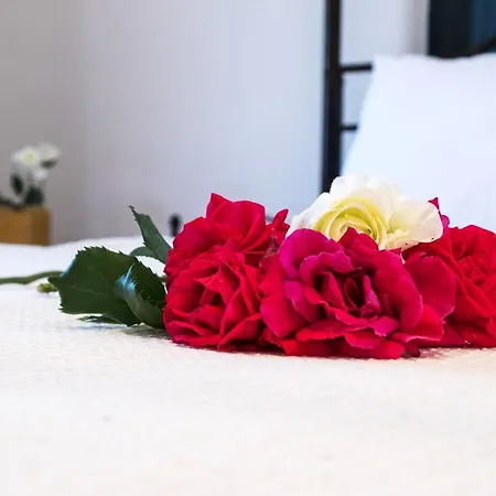 Appartement Pangalis Romantica *