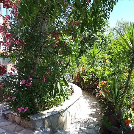 Pangalis Romantica Κάτω Παυλιάνα